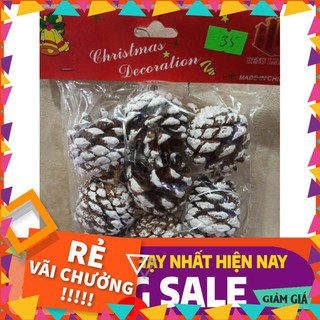 [BÁN CHẠY]  Set 9 quả thông khô, phủ tuyết treo trang trí cây thông noel.