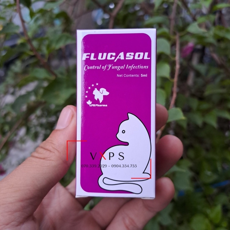 Sản phẩm Flucasol trị nấm cho mèo - GFB Pharma Canada