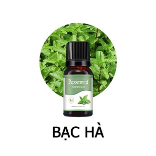 Tinh dầu Bạc Hà | Peppermint Oil | Tinh dầu thiên nhiên Nhập khẩu 10ml