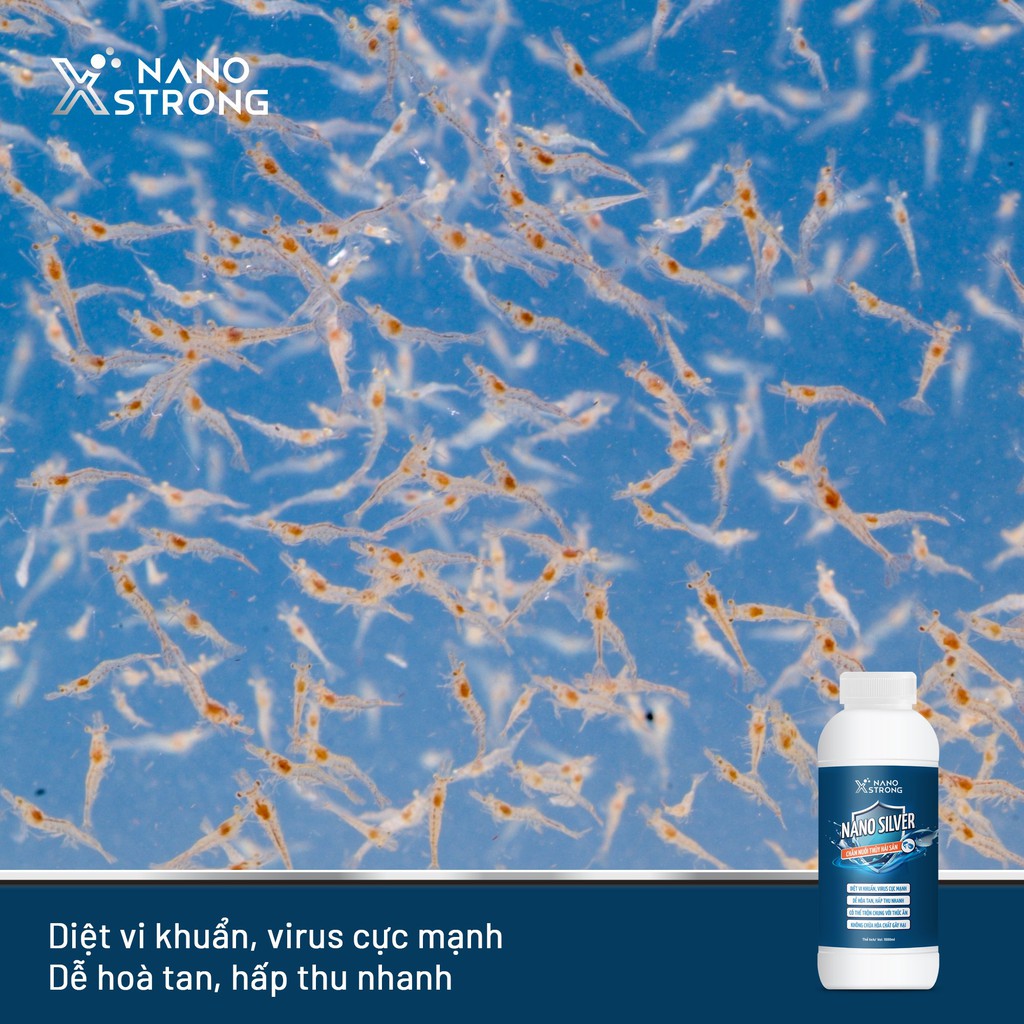 NANO BẠC NANO XSTRONG TRỊ NẤM CHO CÁ CẢNH, LÀM TRONG NƯỚC BỂ CÁ, AO NUÔI, KHỬ MÙI HÔI TANH, XỬ LÝ NƯỚC CHAI 1000ML