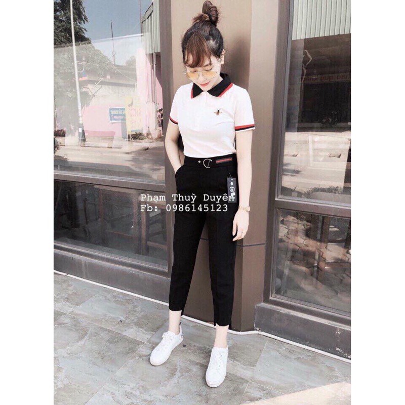 [Mã FAMAYWA giảm 10K đơn 50K] Quần tây gấu lệch phối cạp | BigBuy360 - bigbuy360.vn