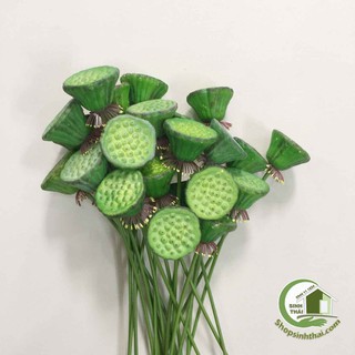 Gương sen giả - gương sen cao cấp [ 1 gương ]