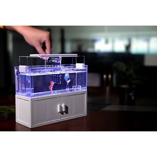 [hot sale]Bể cá mini thủy sinh trang trí bàn làm việc