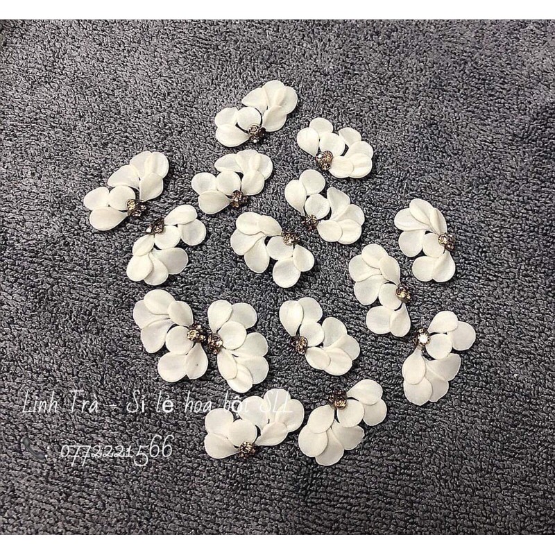 hoa linh nail