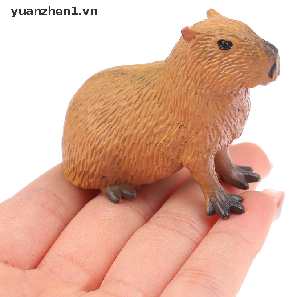 Mô Hình Đồ Chơi Sưu Tầm Capybara Hoang Dã Dễ Thương