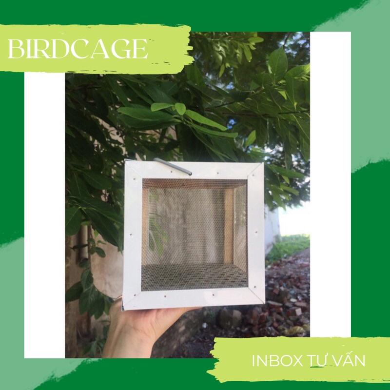 HỘP DỰNG DẾ,CHÂU CHẤU CÓ 2 SIZE TO VÀ NHỎ