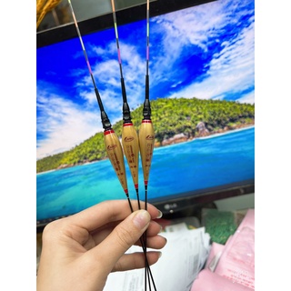 phao cỏ câu đài có đèn cao cấp