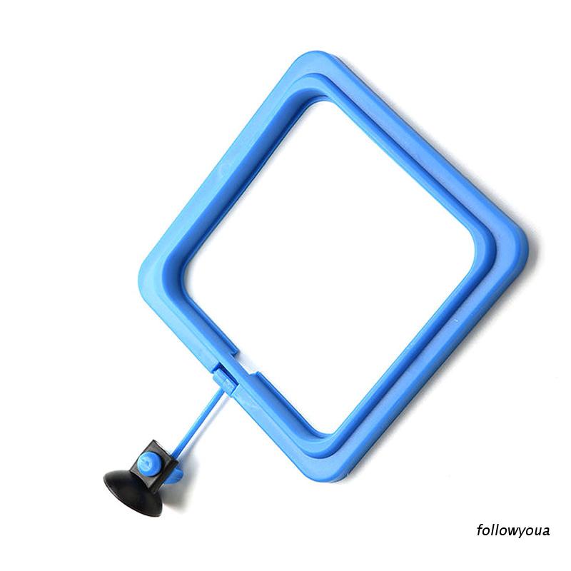 Dụng cụ giữ thức ăn cho cá hình vuông / tròn tiện dụng