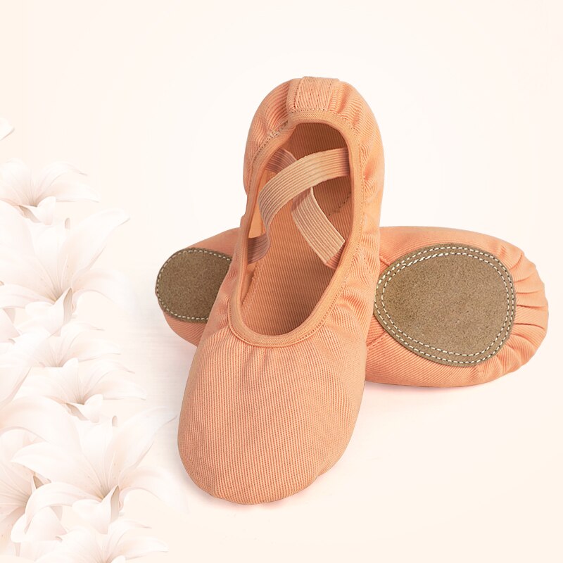 Giày vải múa ba lê chuyên nghiệp cho phụ nữ và bé gái