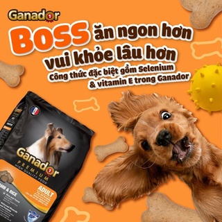 Thức ăn chó Ganador (Cừu & Cơm) túi 1,5kg - Chó Trưởng Thành