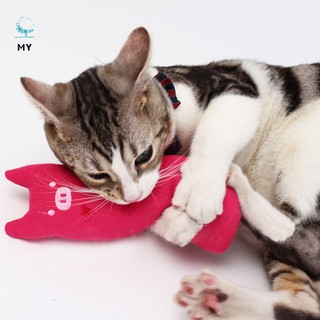Gối đồ chơi dễ thương cho mèo