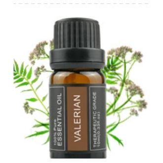 Tinh Dầu valerian tinh dầu Nữ Lang dùng làm nến thơm 24