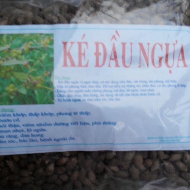 Ké đầu ngựa