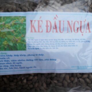 Ké đầu ngựa