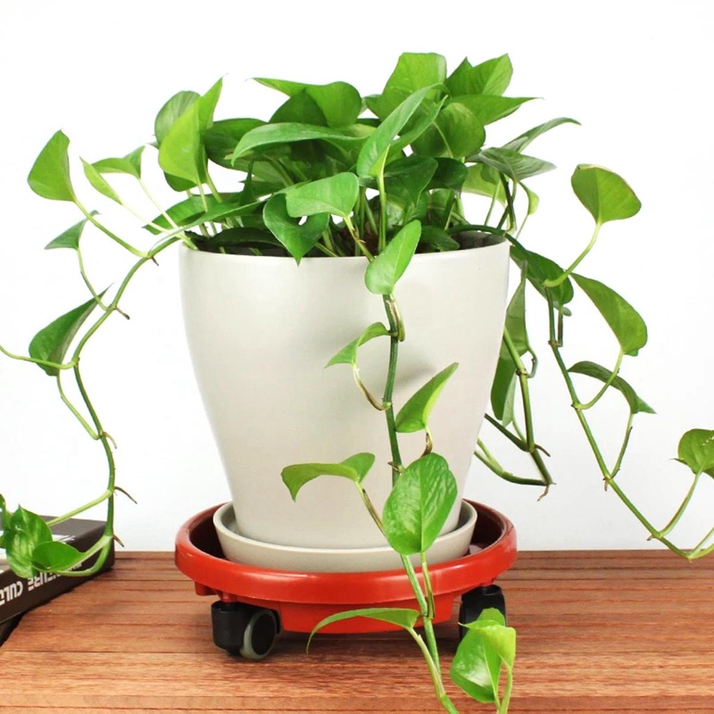 Giá Đỡ Chậu Hoa Hình Tròn Bằng Nhựa Có Bánh Xe Tháo Rời Được Tiện Lợi
