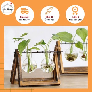 Kệ giá trồng cây thuỷ sinh cắm hoa nhiều kiểu để chọn ship 1h hỏng 1 đổi 1