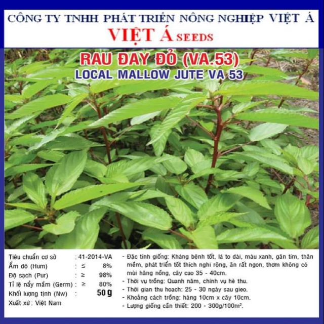 Hạt giống rau đay đỏ