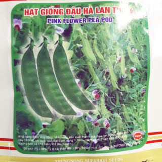 Hạt Giống đậu Hà Lan