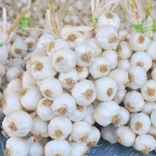 500g tỏi lý sơn chính gốc
