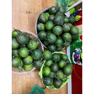 Gà Ta Thả Vườn