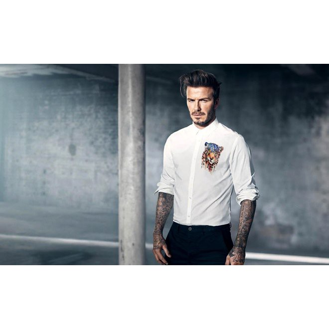 áo sơ tay dài in cọp 7 màu cực kỳ sang trong và tinh tế GKM