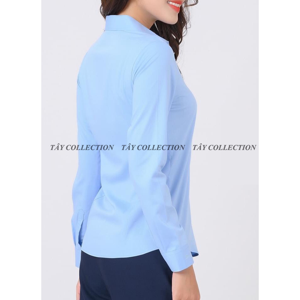 Combo ưu đãi 2 sơ mi cao cấp Tây Collection | BigBuy360 - bigbuy360.vn