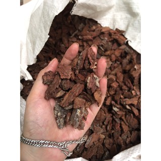 1KG VỎ THÔNG XAY - HÀNG ĐẸP