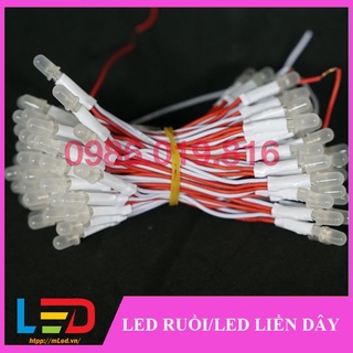 Led liền dây 12V (Led ruồi 12V) 100 bóng 1 bó