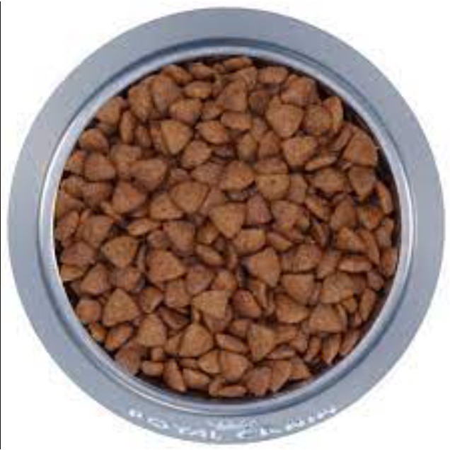 [ Hàng Hot ] [2kg túi SEAL] Royal canin Indoor 27 Thức ăn hạt cho mèo trưởng thành - Bao chính hãng