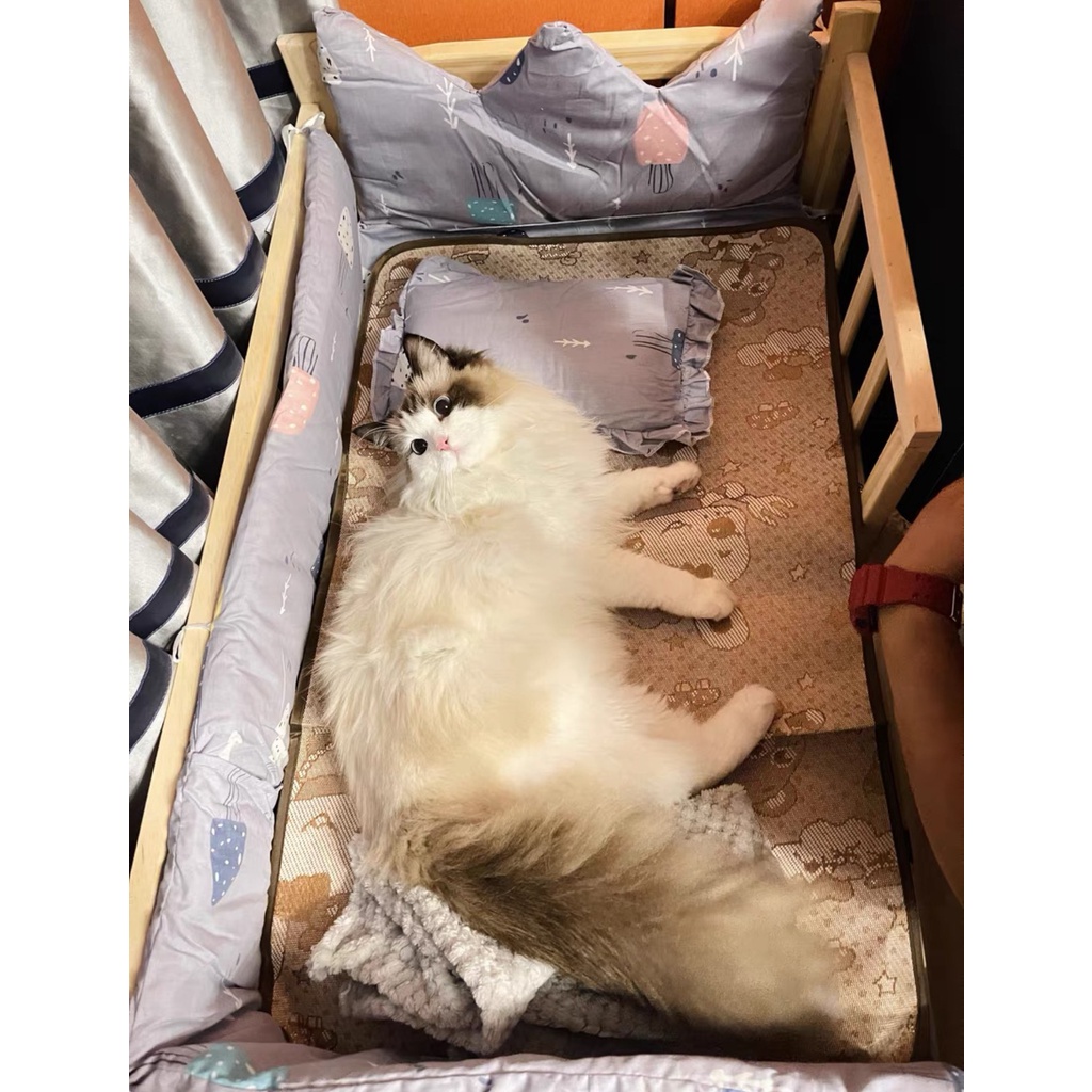 Giường chó mèo bằng gỗ cao cấp, đệm thảm gối drap giường nhiều mẫu, nội thật cho thú cưng Con Mèo Xiêm