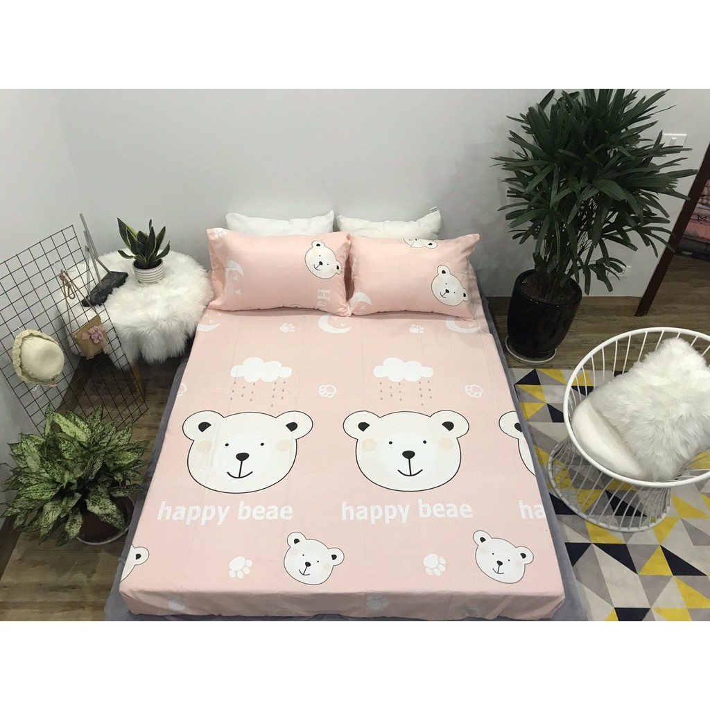 Bộ ga gối 1m6 cotton 100% nhập khẩu mềm mịn mã GGCT-01101