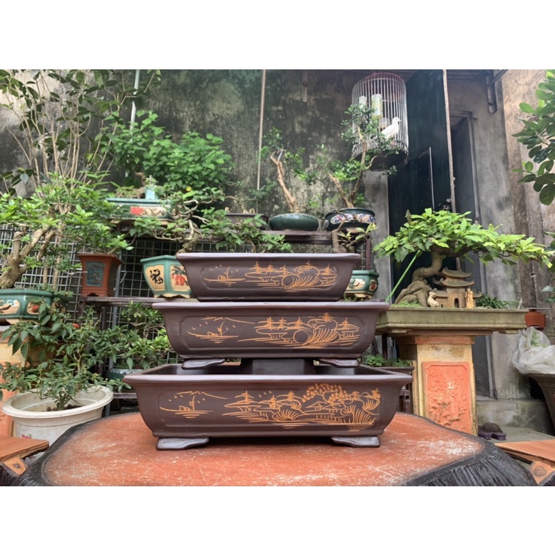 Chậu chữ nhật trồng cây bonsai ( có hỗ trợ vc cho khách => nhắn tin cho shop )