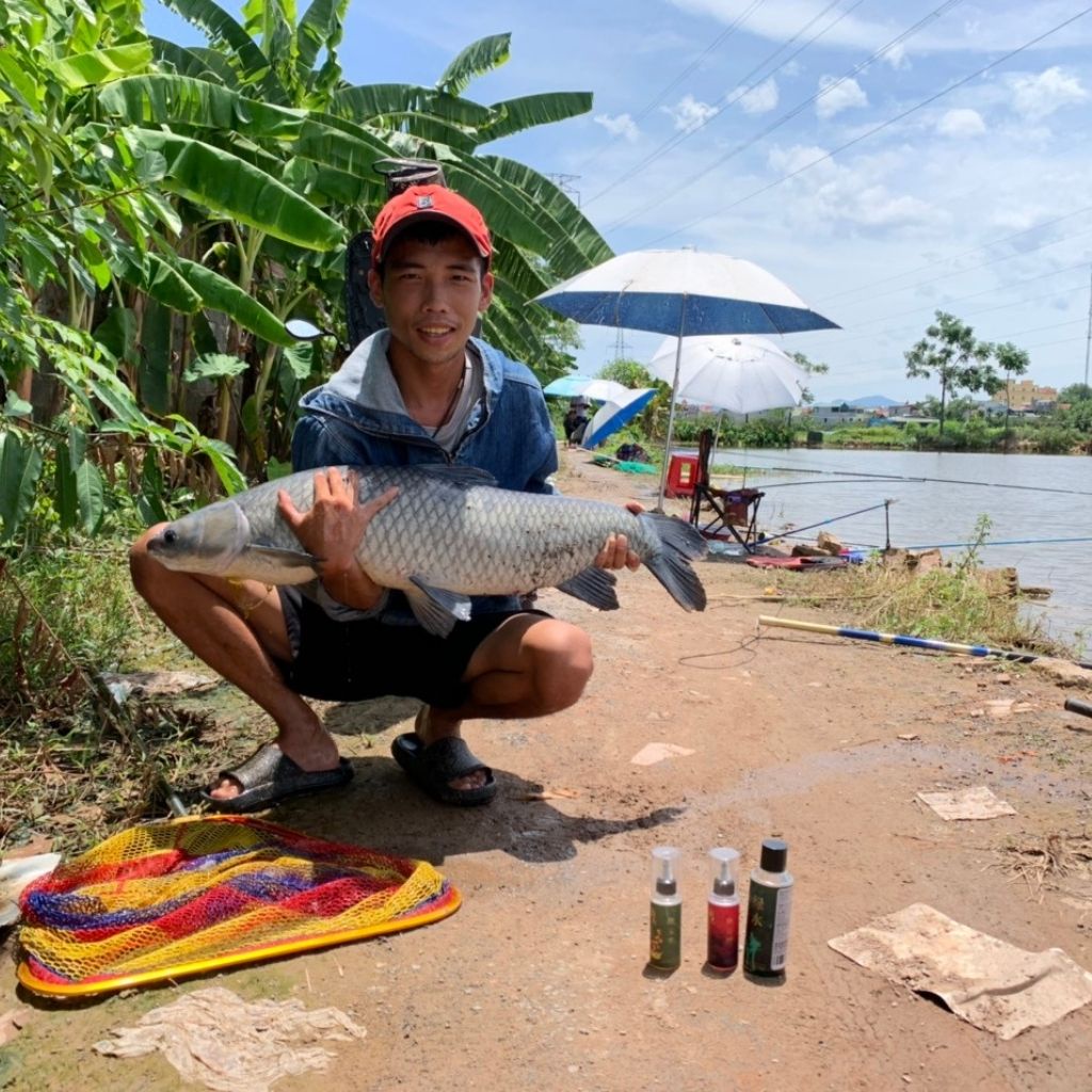 Mồi câu cá trắm cỏ Kim Long, mồi câu cá trắm đen kim long, hương liệu câu cá trắm cỏ kim long- Vietnam Fishing