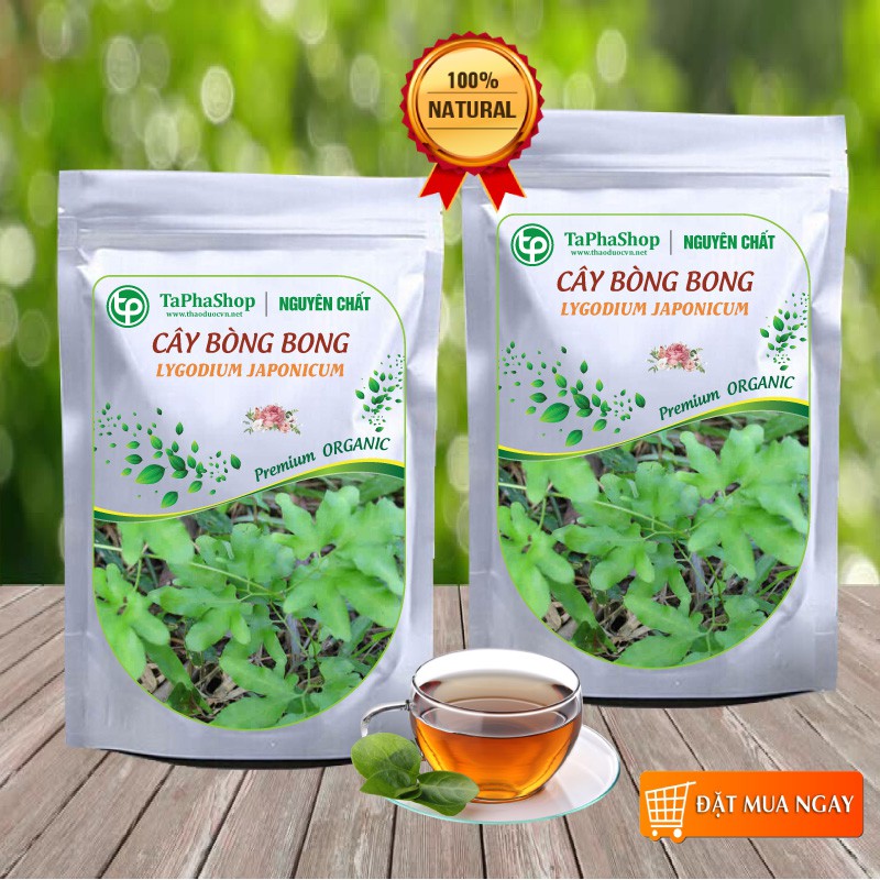 Cây bòng bong khô  - Tấn Phát