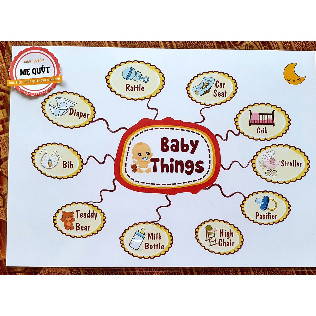Mind Map Sơ Đồ Tư Duy & Vòng Đời- Giúp Bé Phát Triển Tư Duy Nhanh Nhạy - ÉP PLASTIC Bền Chắc Chắn