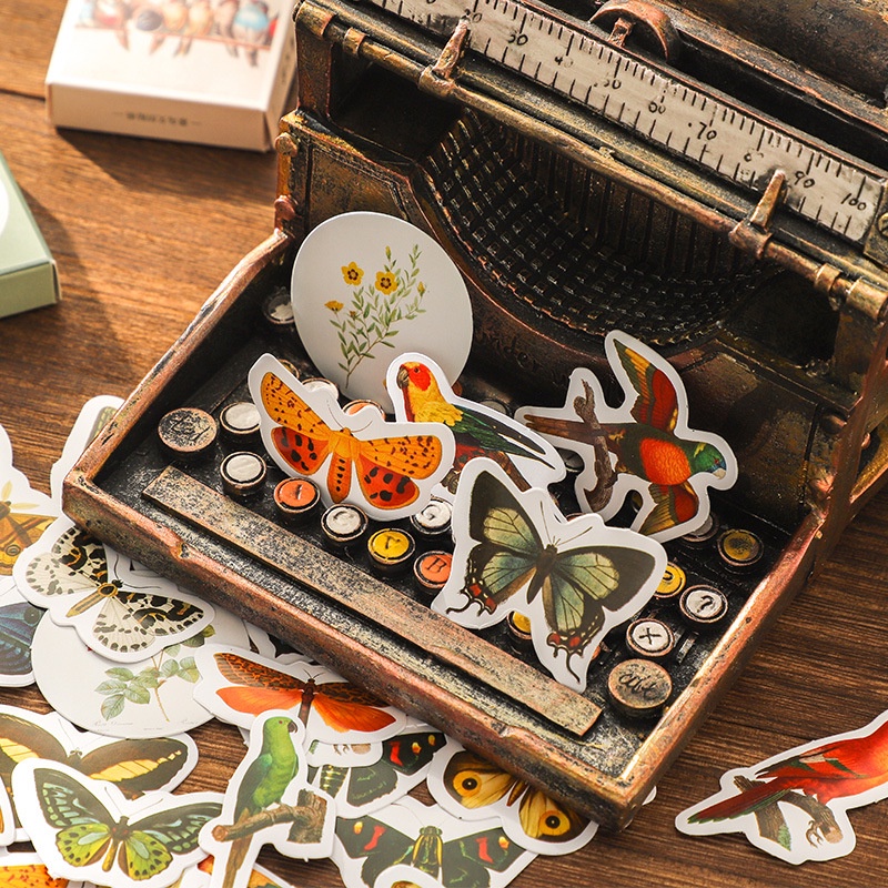 Hộp 46 miếng sticker dán chủ đề các loài bướm Box Sticker ST415