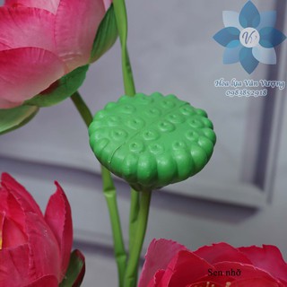 Hoa Lụa Để Bàn 🌺FREESHIP🌺 Hoa Sen Giả
