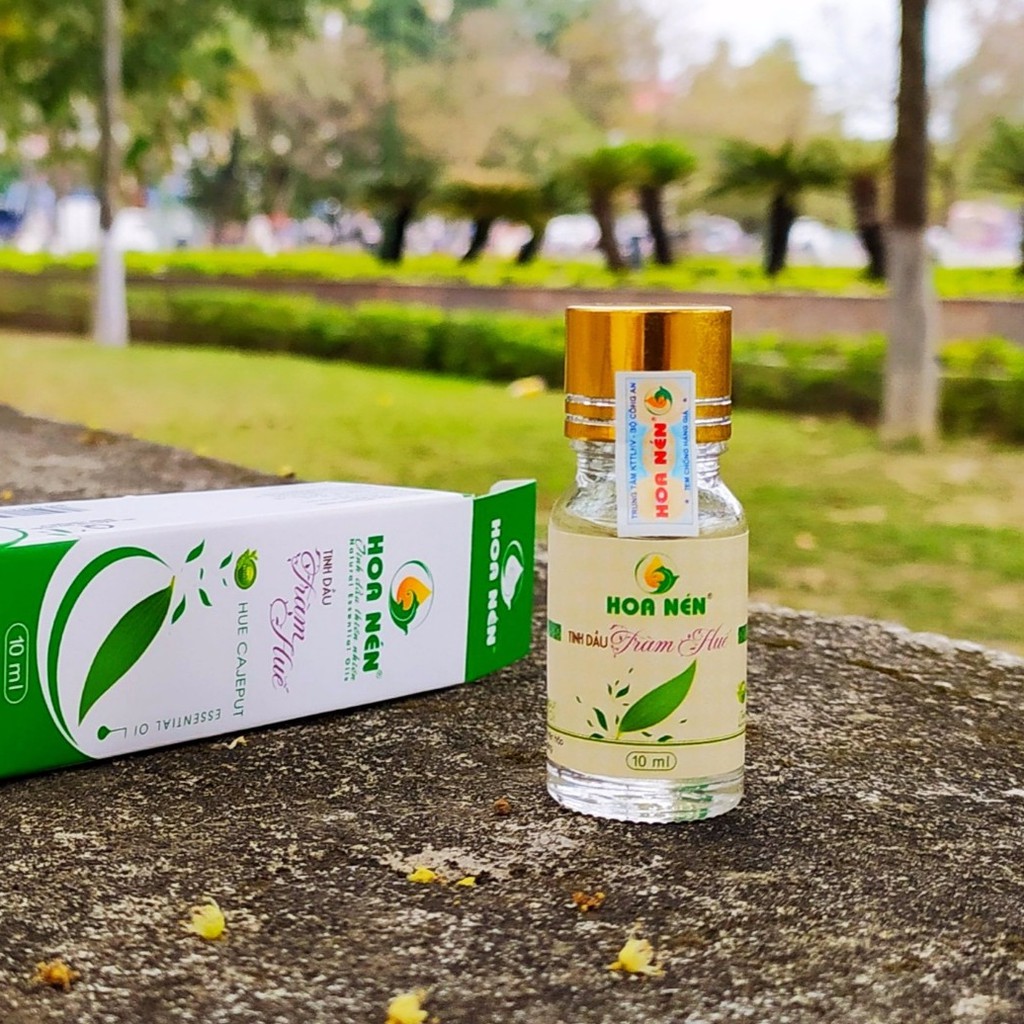 Tinh dầu Tràm Huế Hoa Nén 10ml [NGUYÊN CHẤT] Dầu tràm Huế cho bé cao cấp, có kiểm định