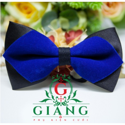 Nơ cổ nam dáng nhọn sang trọng nhung màu xanh bích