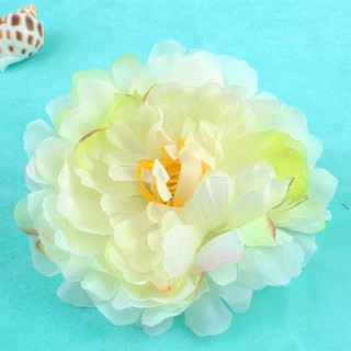 Mẫu đơn 12cm