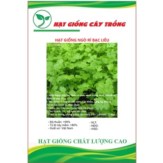 Hạt giống ngò rí bạc liêu ct138 - gói 20gram