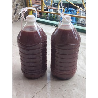 Vi sinh psb 5 lít hồ cá, ao hồ thuỷ sản, nuôi tôm phân huỷ khí độc