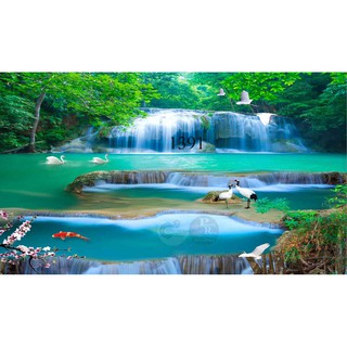 Tranh 3d dán bể cá trang trí bể cá nhiều kích thướt chọn lựa