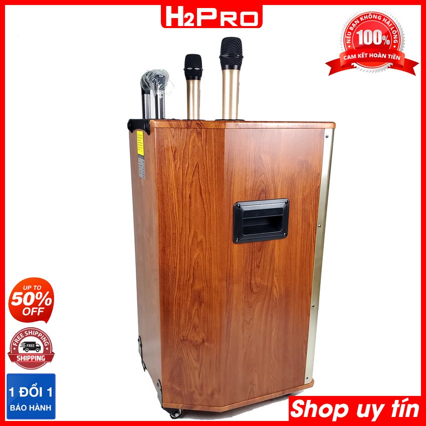 Loa Kéo Karaoke JBA 505B Bass 40, Vân Gỗ Nguyên Khối Vàng Sang Trọng - Chất Lượng Đẳng Cấp, Bảo Hành 12 Tháng