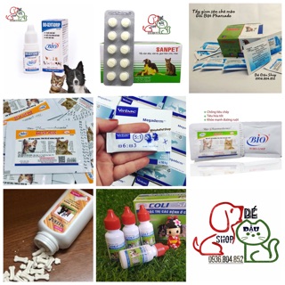 Gói chăm sóc sức khoẻ toàn diện cho thú cưng