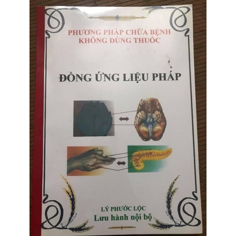 Diện Chẩn- đồng ứng Lý Phước Lộc