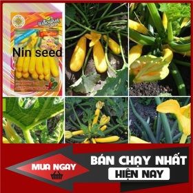 [ Big Sale ] Hạt Giống Bí Ngòi Vàng F1 (15 hạt)