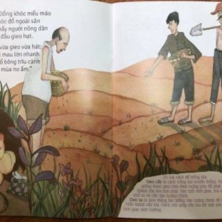 Sách - Bộ thơ Từ những hạt mầm 5 cuốn