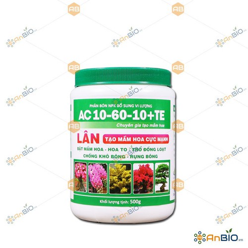 Siêu lân xanh công thức tạo mầm hoa cực mạnh cho hoa lan hoa hồng