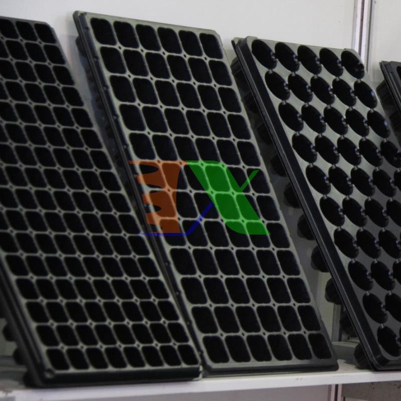 Thùng 150 Khay nhựa ươm cây 72 lỗ, Vỉ ươm hạt giống, Khay nhựa PVC ươm hạt rau hoa